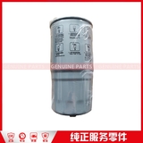 110500020 Fuel filter CARRYING / Baodian IV